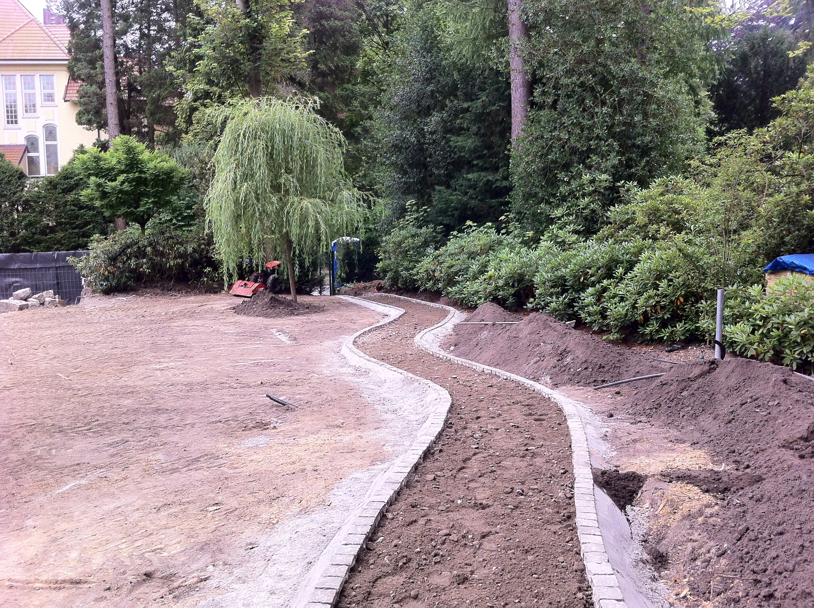 Ein Pfad, der durch ein Feld mit Bäumen im Hintergrund führt.