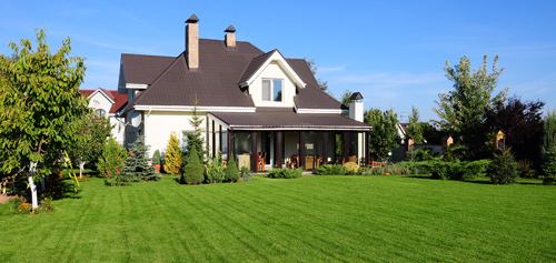 Beautiful green lawn in front of the house