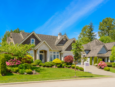 Landscaping done by the experts in front of house