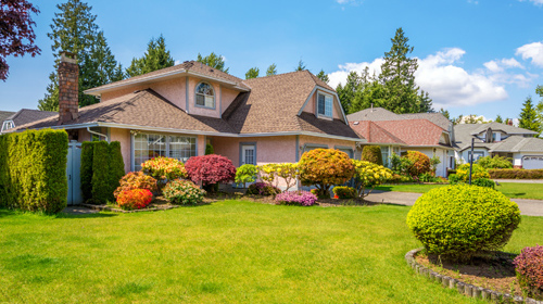 Landscaping in the garden done by the experts