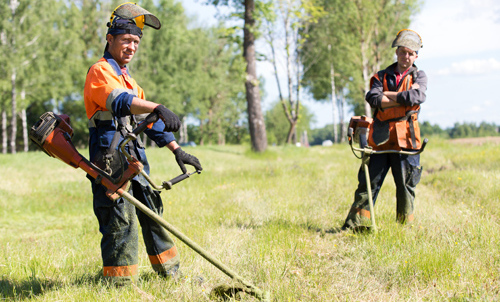 The team of turf experts at work