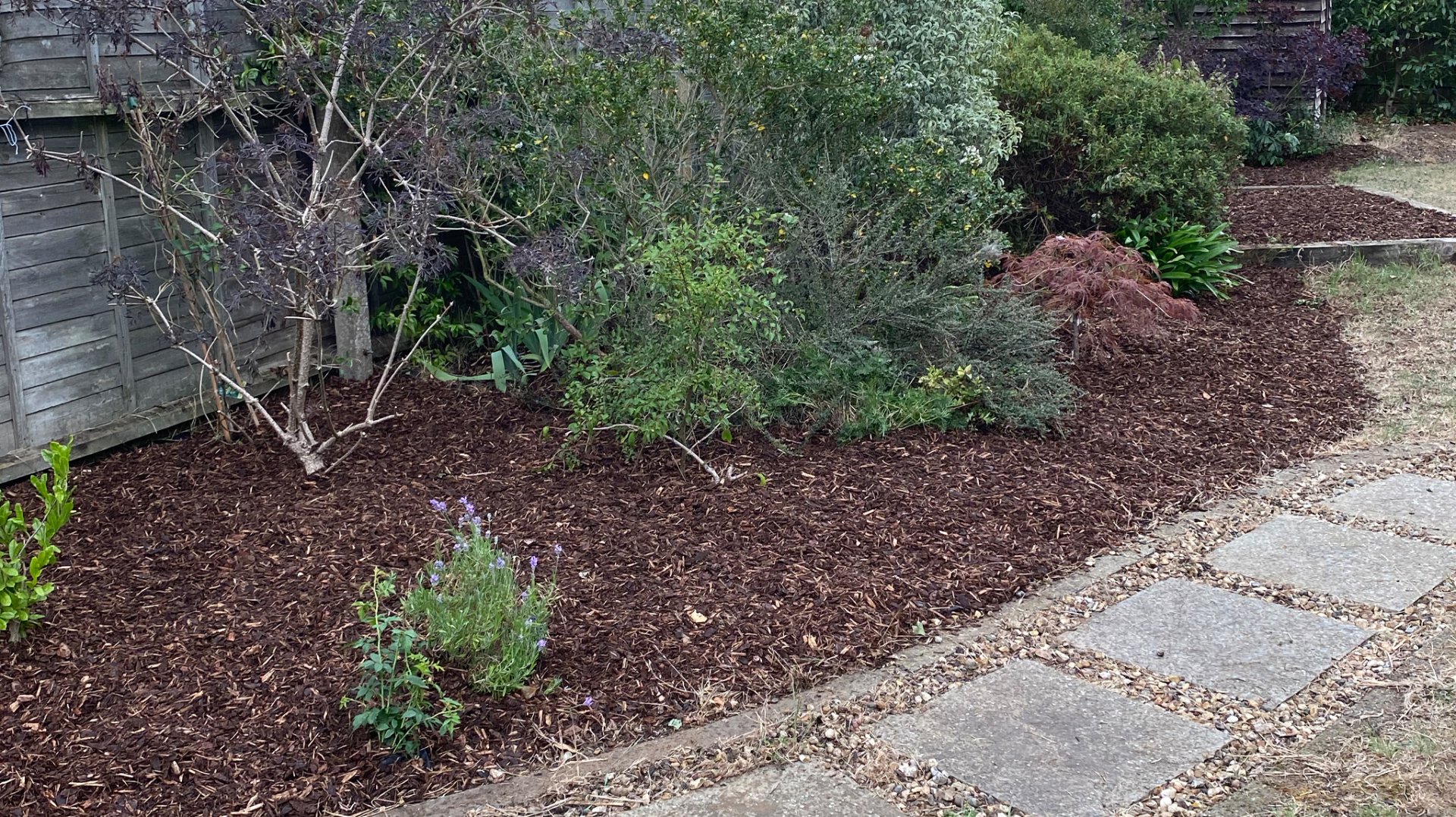 grogarden garden design Ipswich, landscaping Ipswich