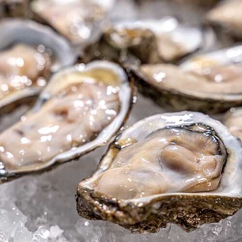 Products Darwin Fish Market