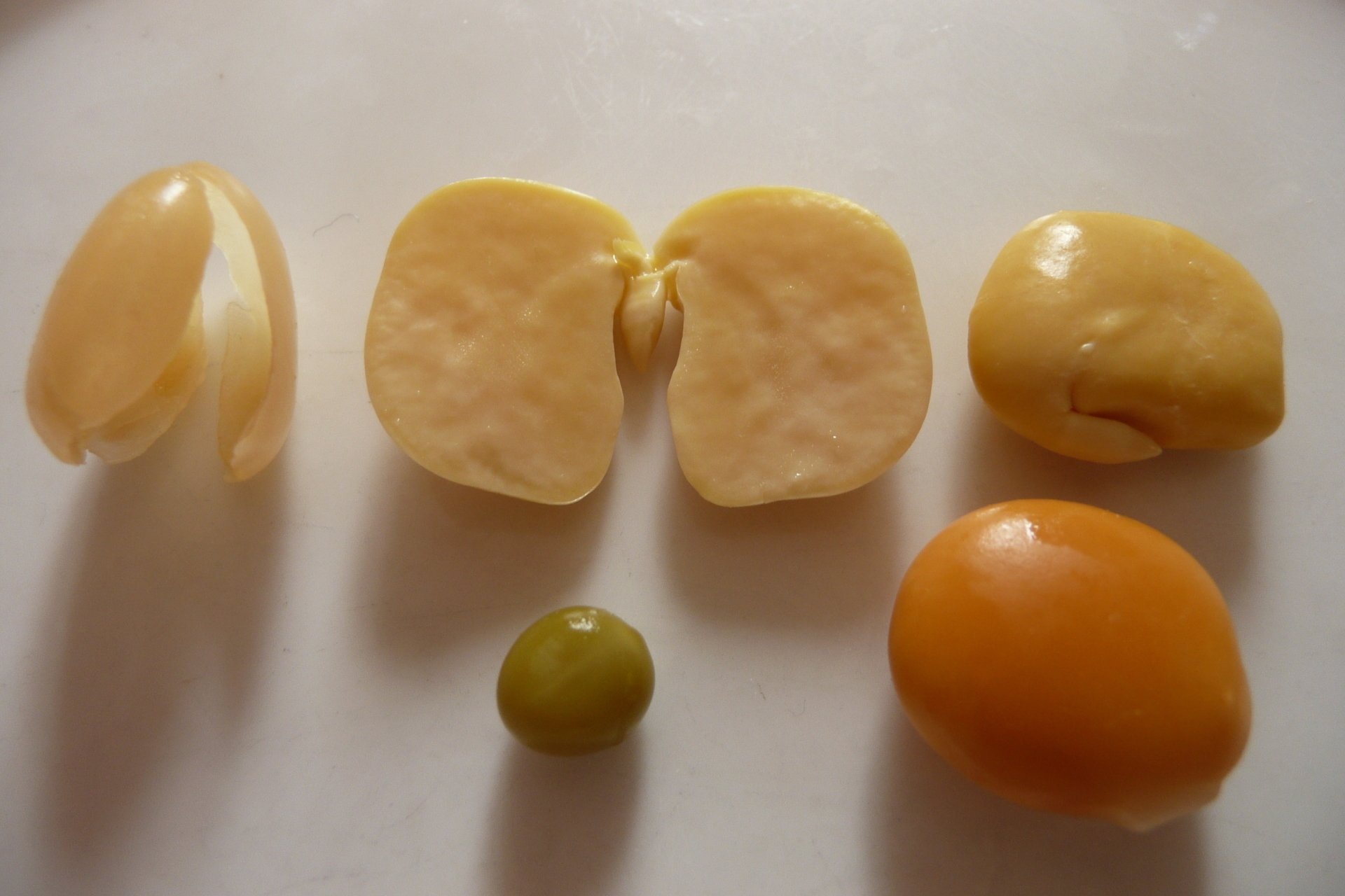 Lupin legume could be Australia’s soybean