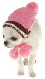 Female Chihuahua pink hat