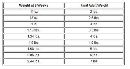 I Can... a growth chart book by M. H. Clark (2011, Board Book) I Can... a growth chart book by M. H. Clark (2011, Board Book)