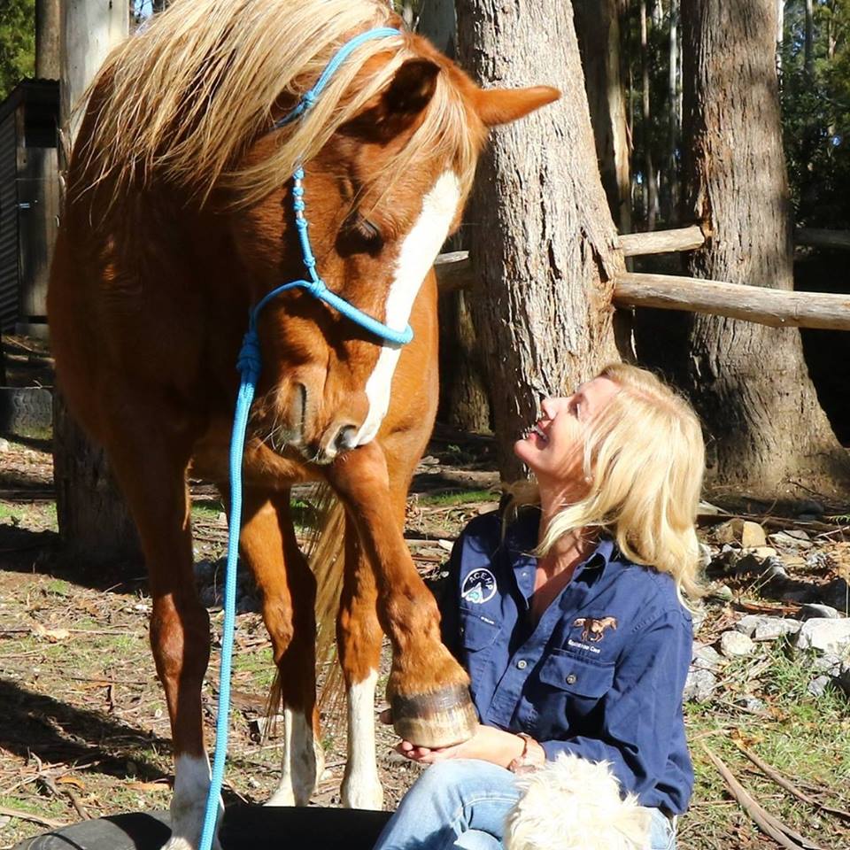 Wild About Hooves Natural Hoof Care and Education