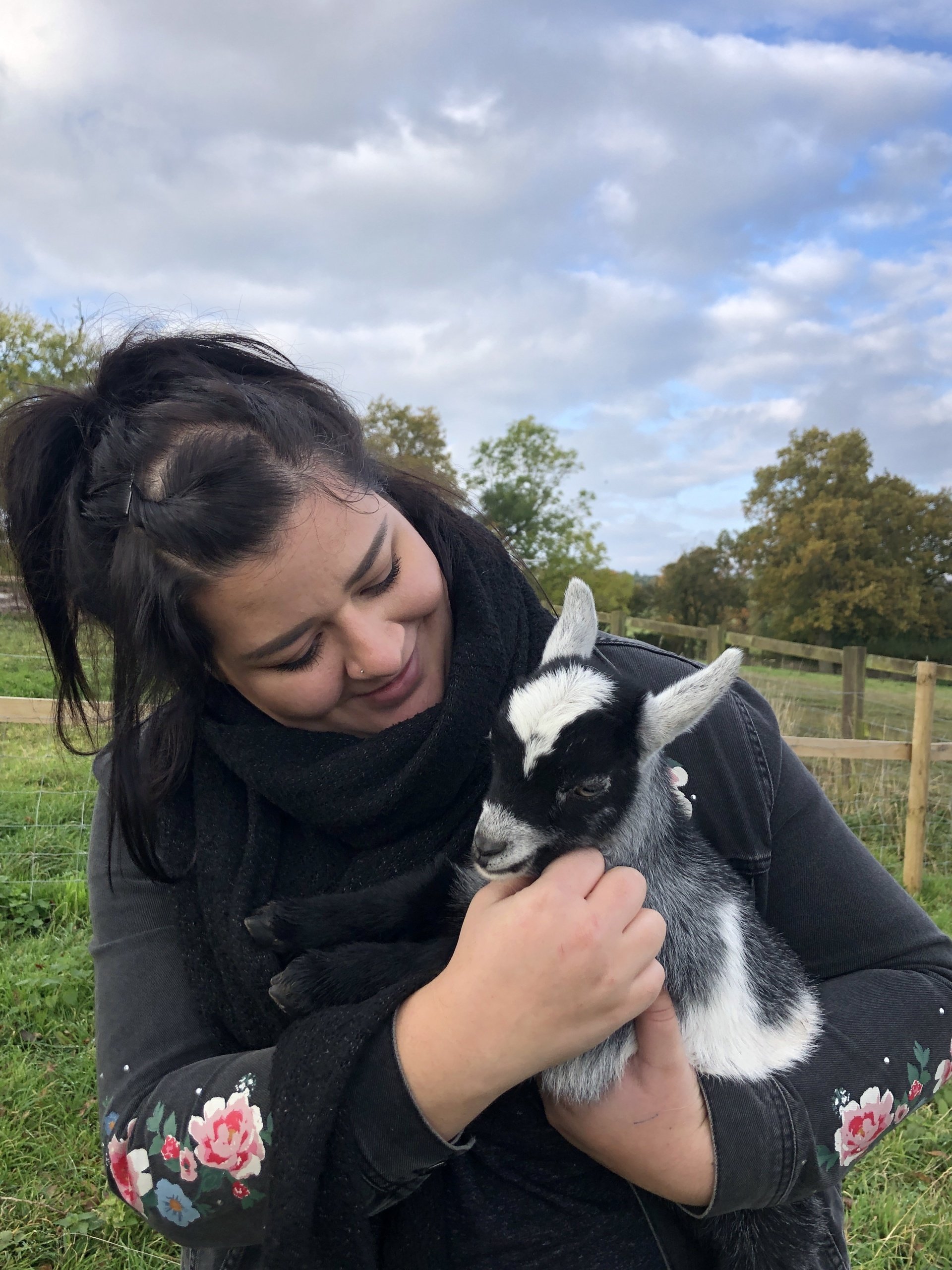 Goat, Giant Bunny & Sheep Experiences Walk and Play with Pygmy Goats