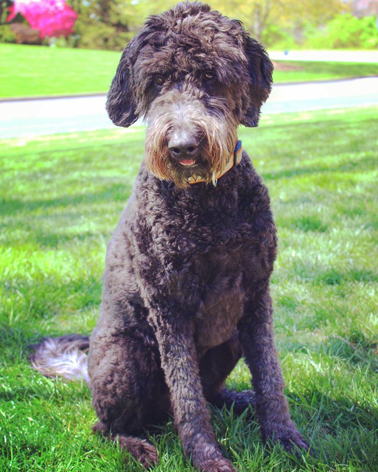 Contact Jasper Pet Clinic Jasper, IN