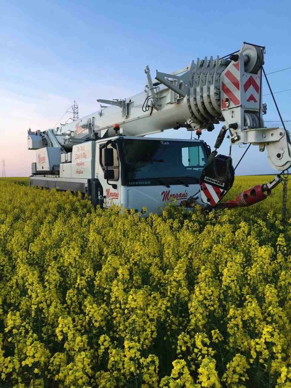 Crane Hire Adelaide Crane Hire Crane Service Adelaide SA