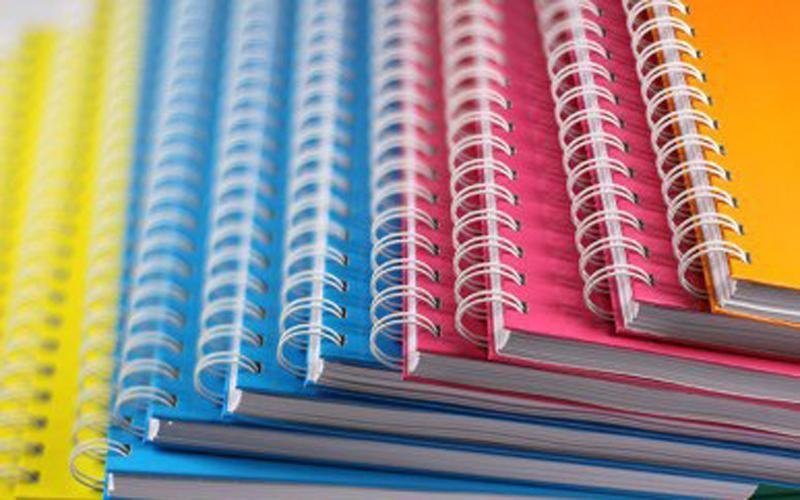 Durabind Sistema Rilegatura Permanente: Pinzatrice Per Fascicoli, Capacità 30 Fogli A4, Confezione Da 25 Pezzi, Blu
