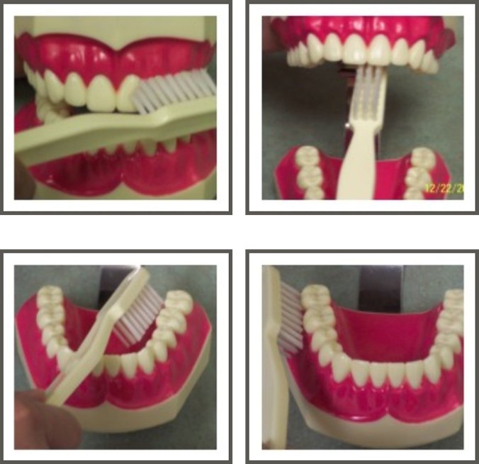 Johnson Family Dentistry Powder Springs Dentist Crystal Johnson, DDS