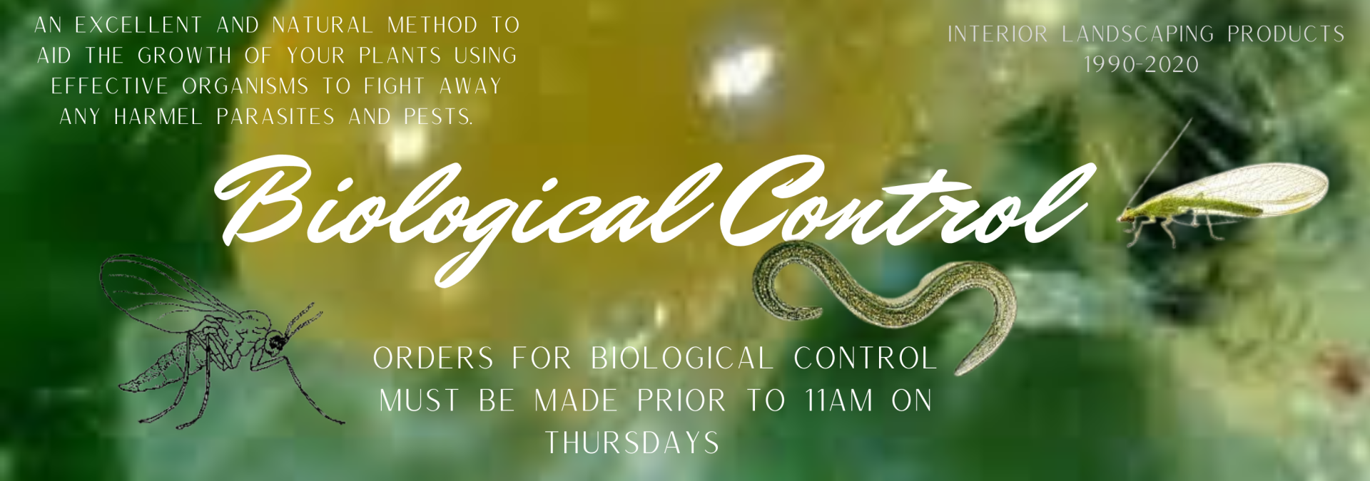 Biological controls, natures natural predators to control plant pests