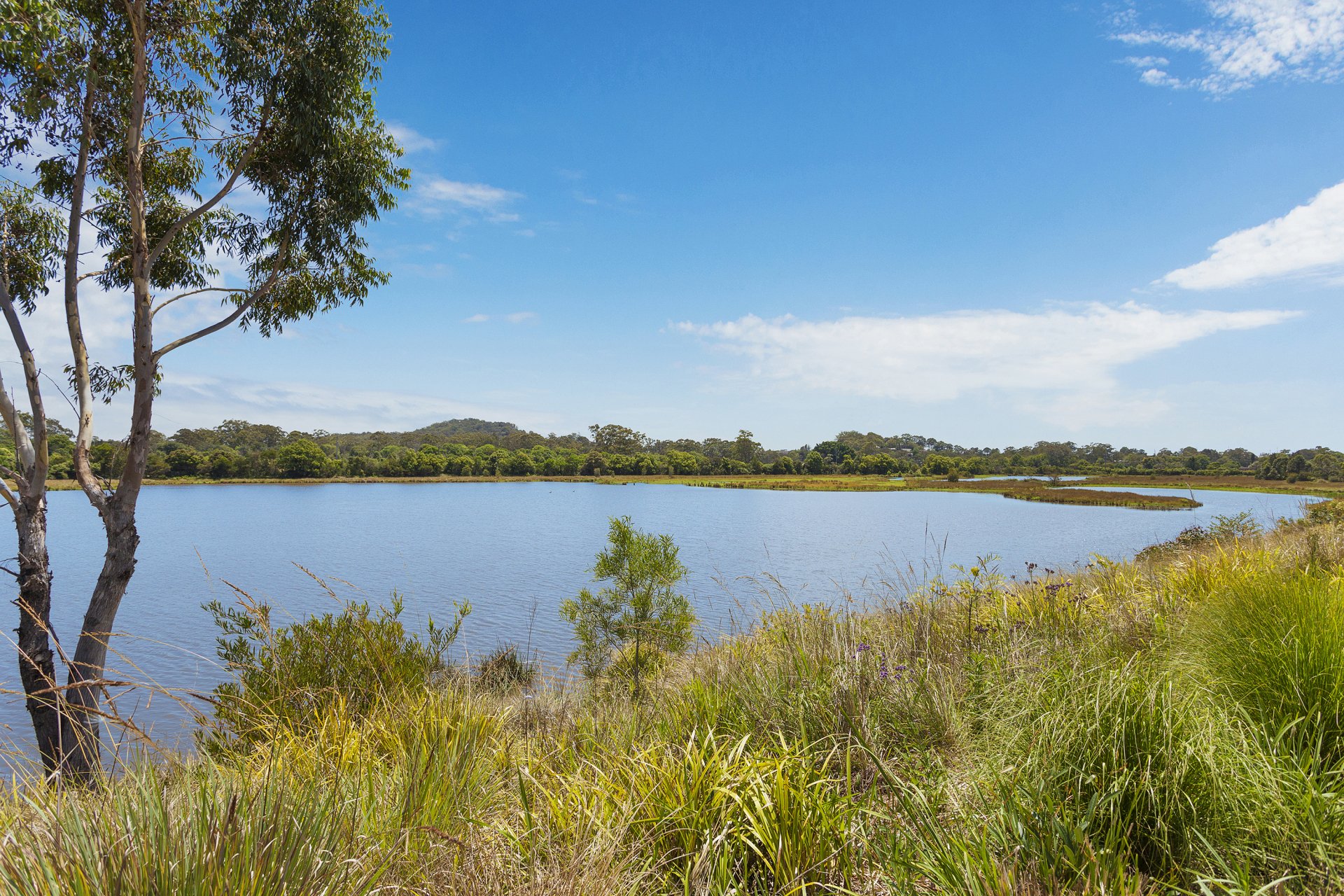 26 Freshwater Rd, Mardi, NSW, Mardi - Thumbnail 4