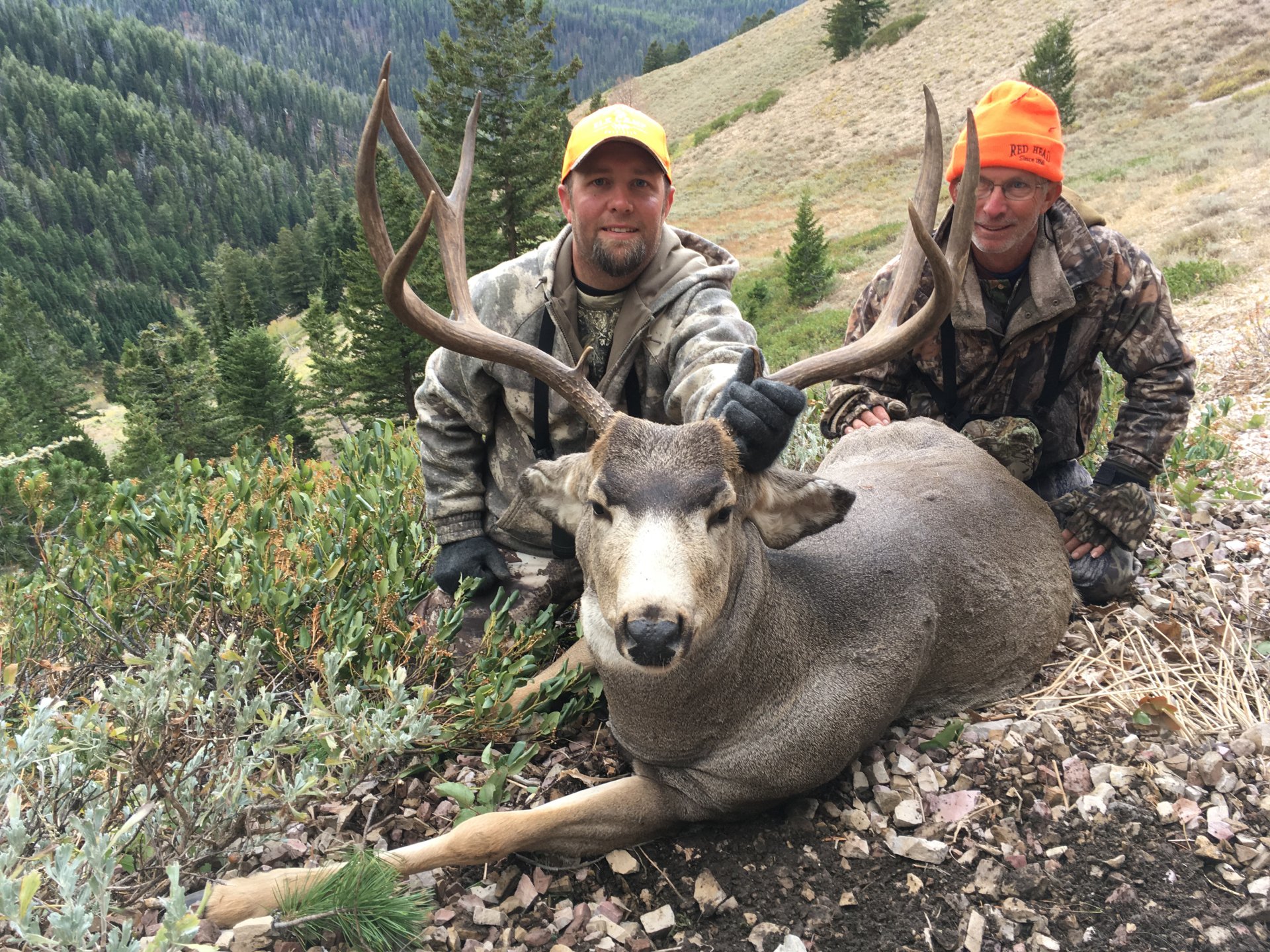 Wyoming Mule Deer Hunting, Wyoming Outfitter