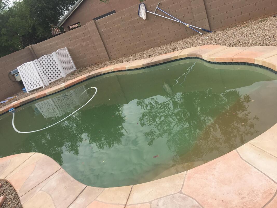Pool Cleaning Service Chandler AZ, Salt Cell Cleaning