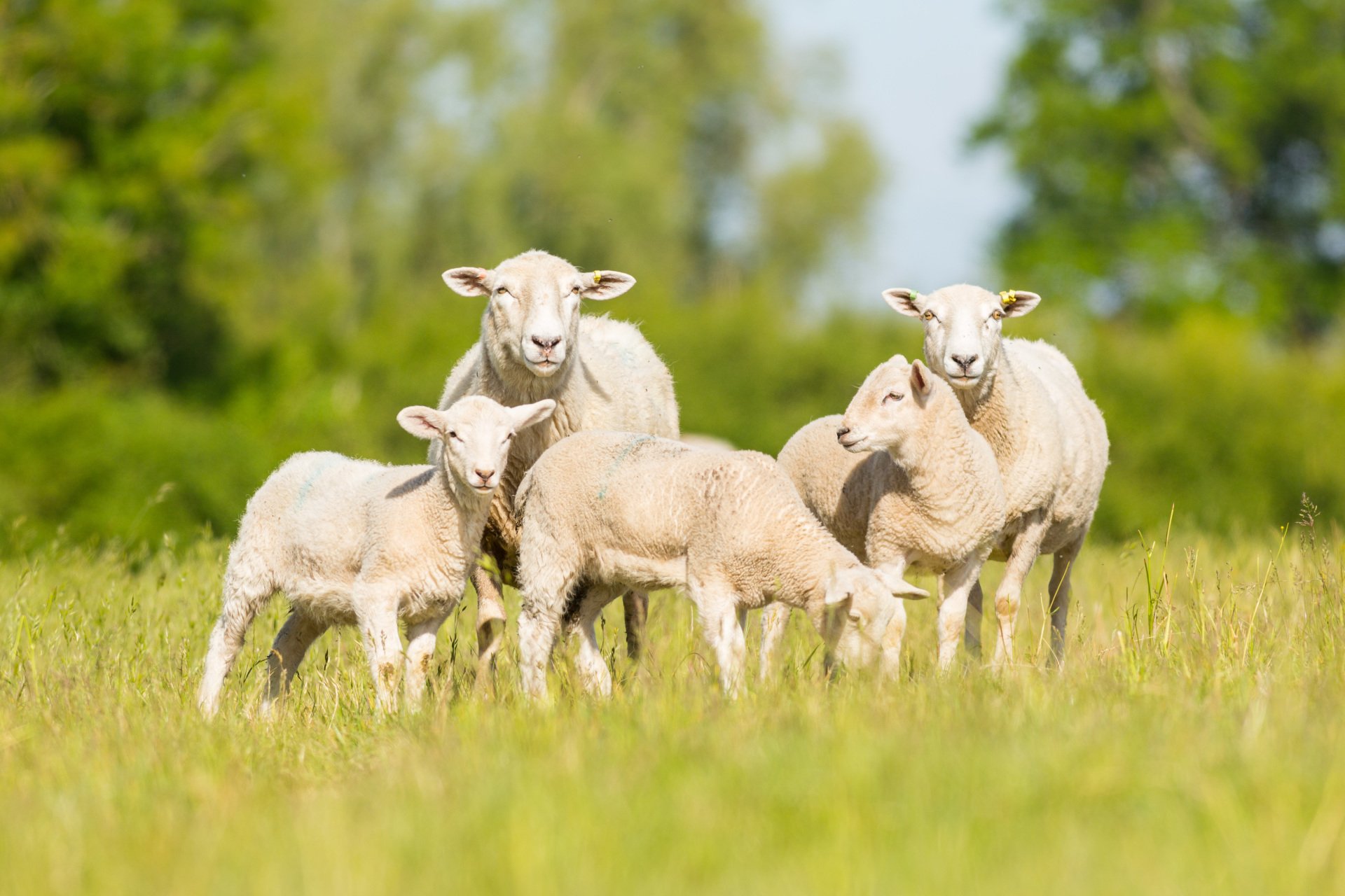 Bowbrook Caravan and Motorhomes Site Over 18 Pershore Worcestershire