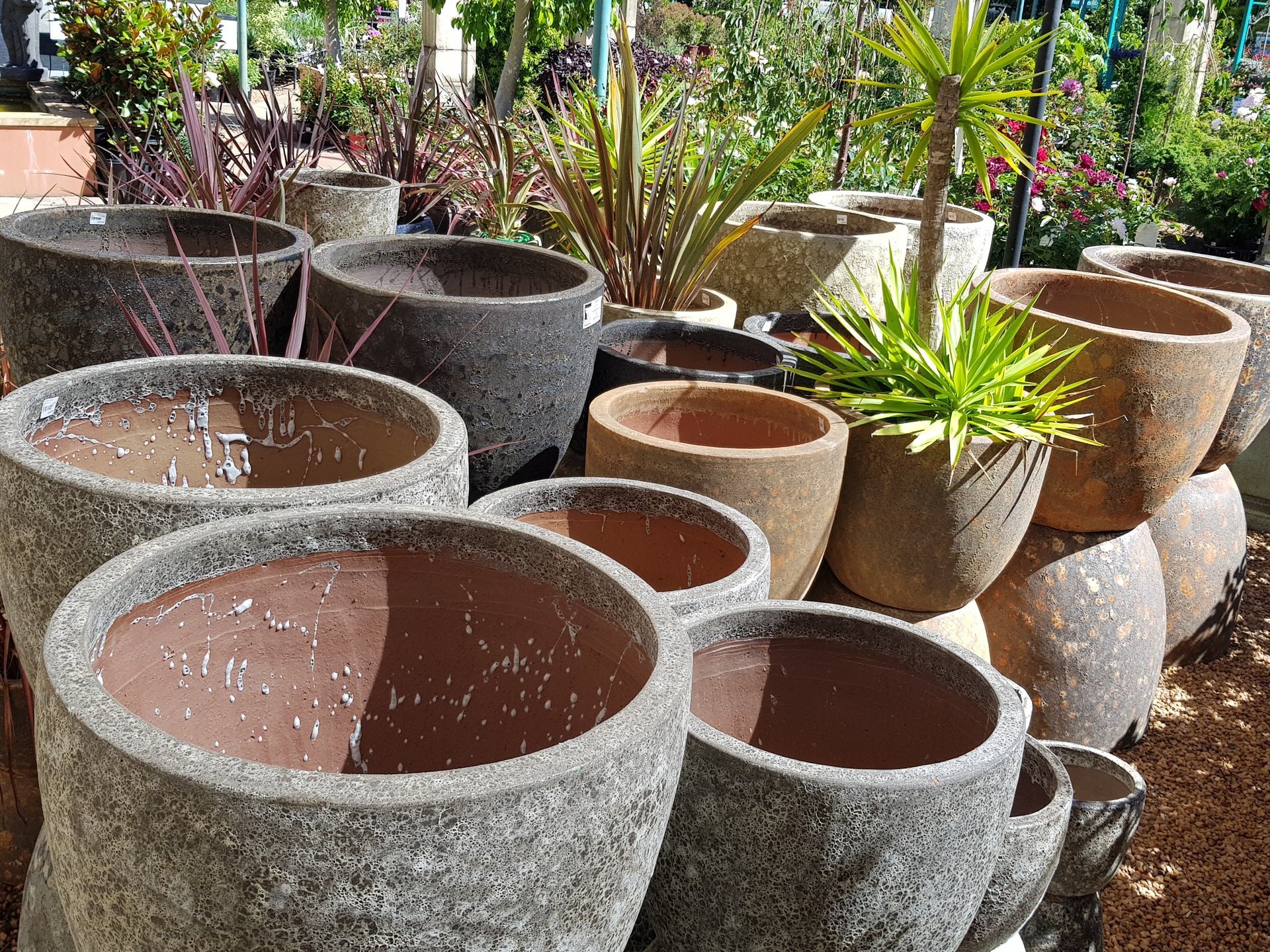 Gardening Toowoomba The Springs Garden World