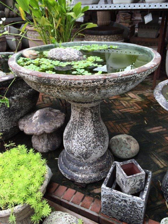 Gardening Toowoomba The Springs Garden World