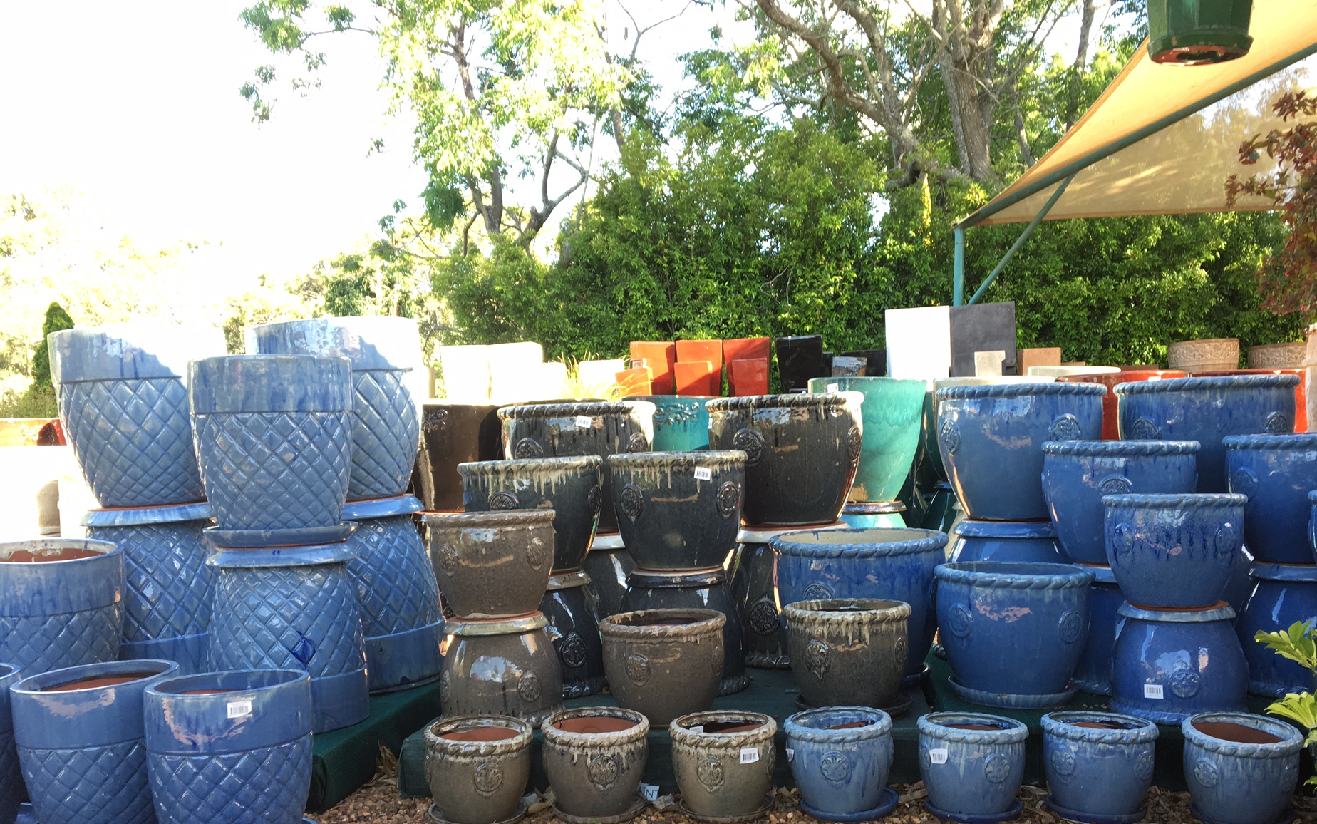 Gardening Toowoomba The Springs Garden World