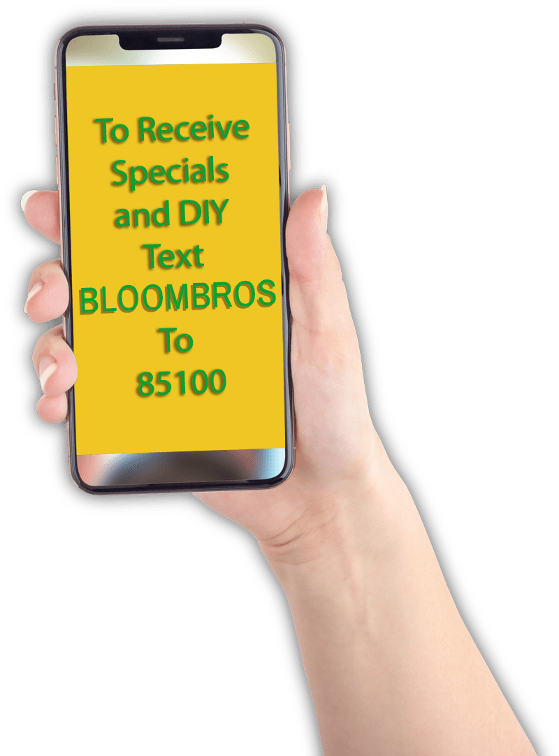 Hydroponics Terre Haute, IN The Blooms Bros