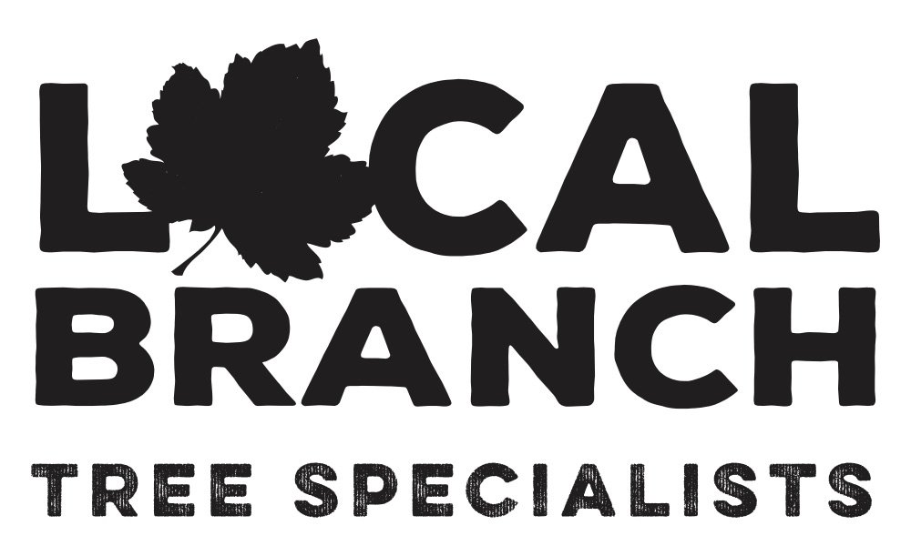 Tree Surgeon Woking, Surrey Local Branch Tree Services