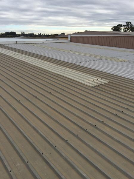 metal roof replacement  done by expert