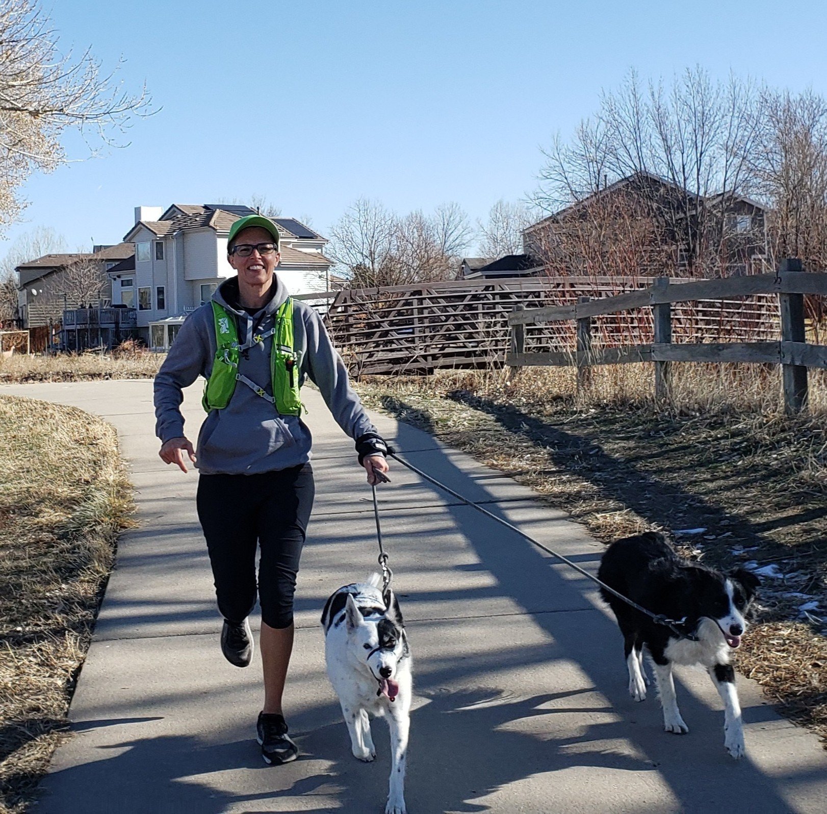 Dog Walkers Denver Denver Dog Joggers