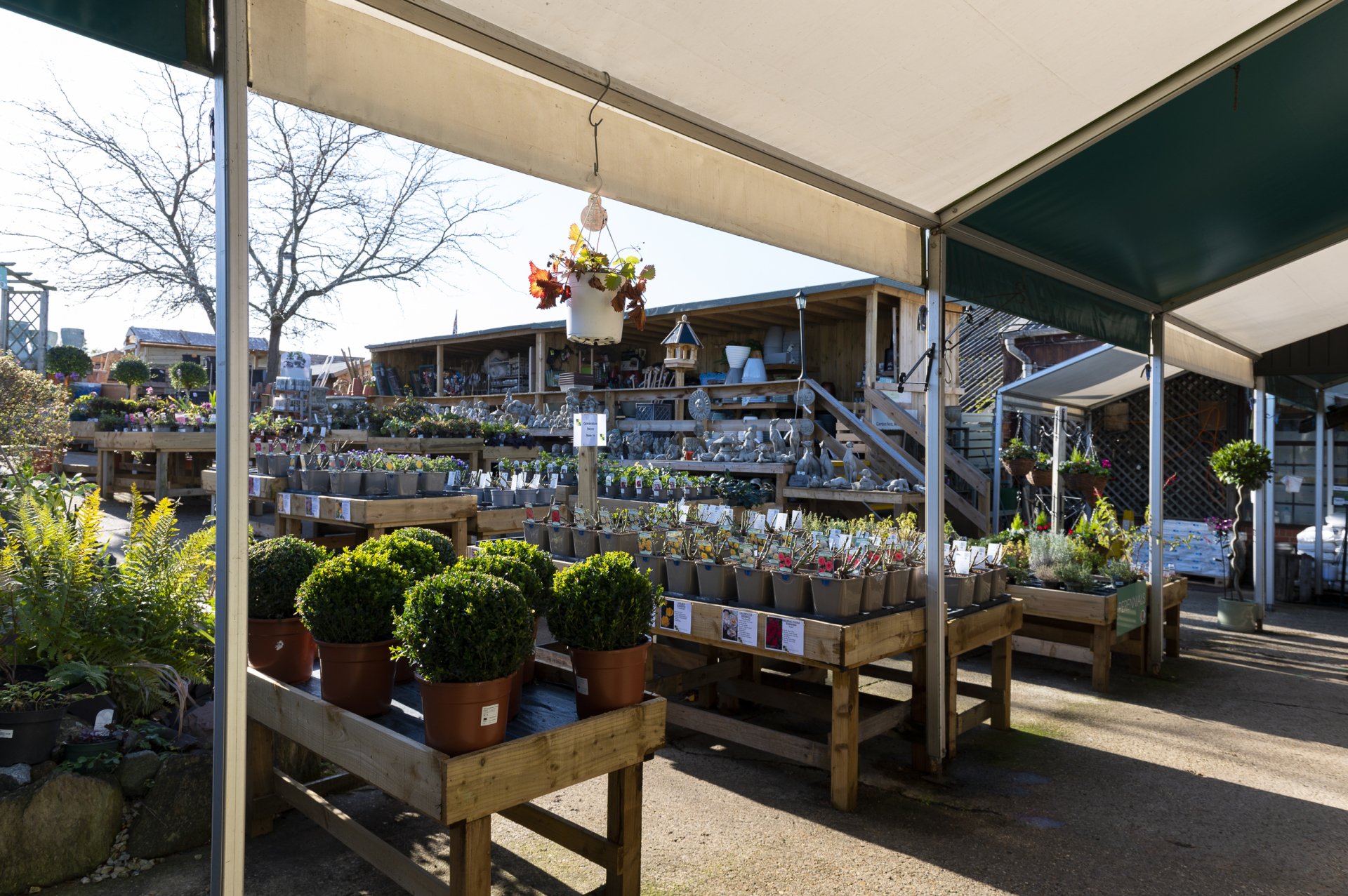 Garden 4 Seasons at Moss End Garden Village Leading Berkshire Garden