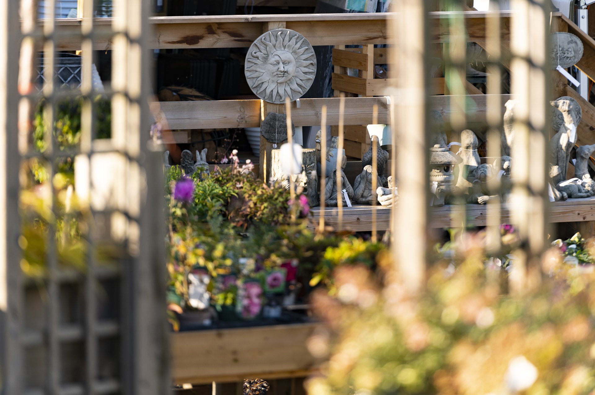 Moss End Garden Village Leading Berkshire Garden Centre & Shopping
