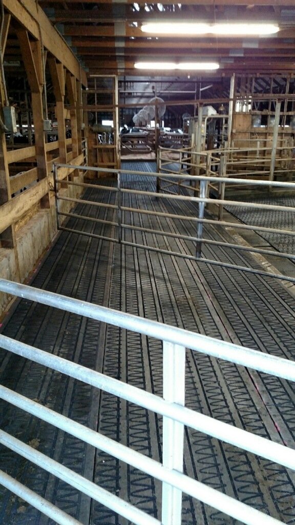 Livestock Mats Rubber Flooring Gabel Belting, Inc.
