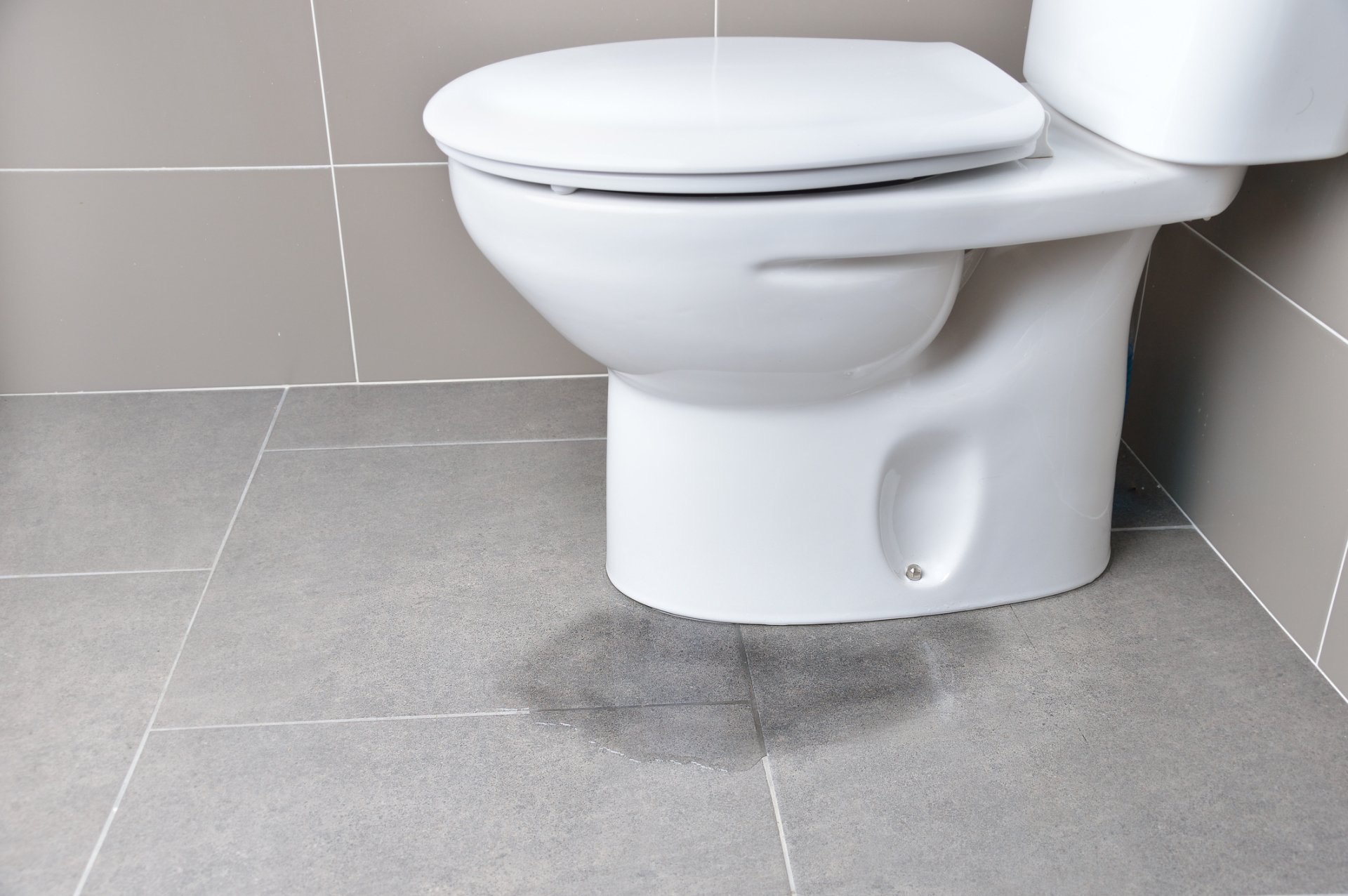Potential Causes of Toilet Overflows