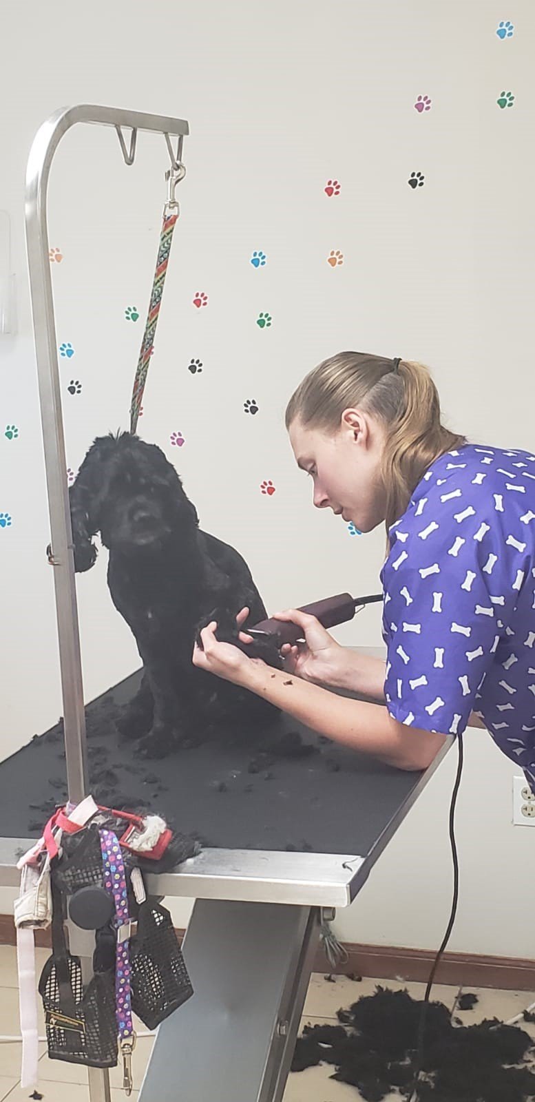 Our Team Bloomington, IL Top Dog Grooming Salon