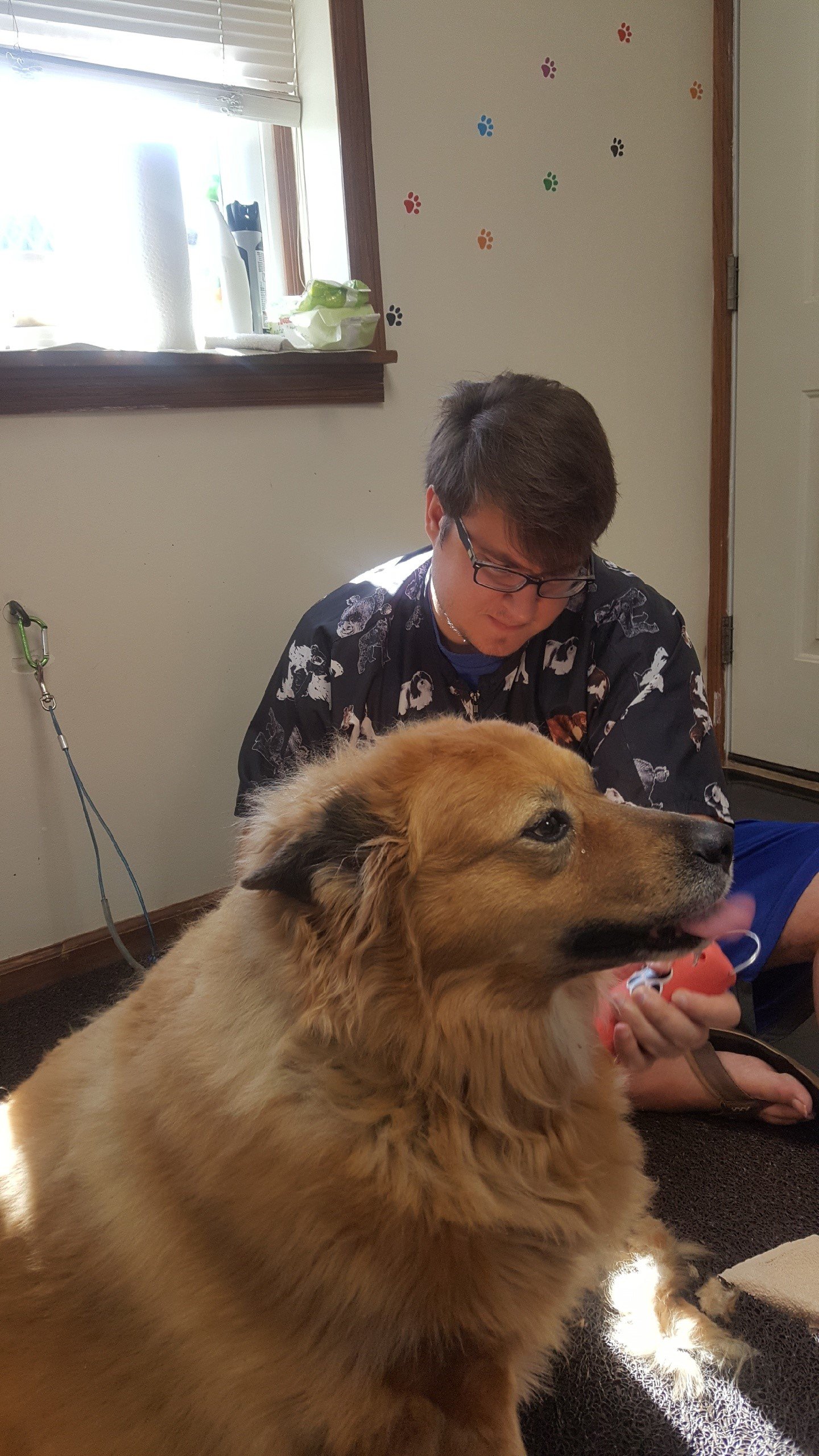 Our Team Bloomington, IL Top Dog Grooming Salon