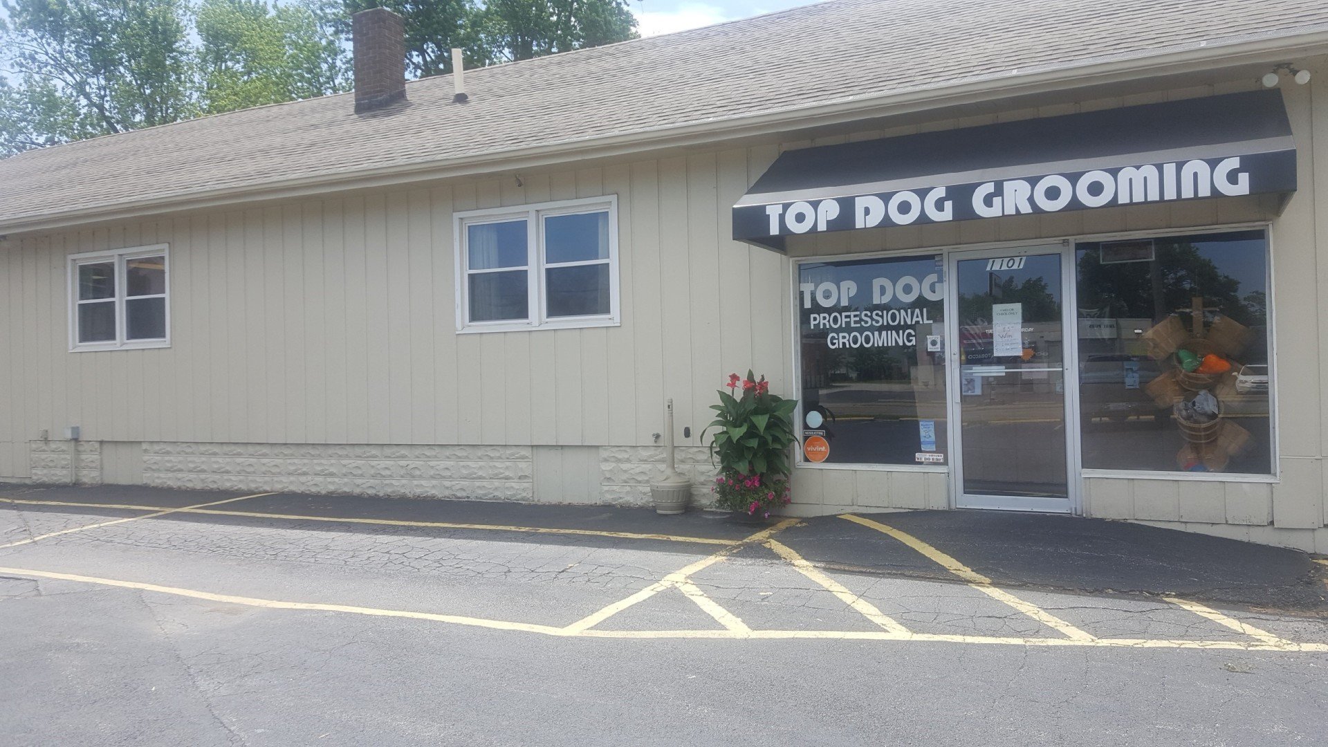 Groomers Bloomington, IL Top Dog Grooming Salon