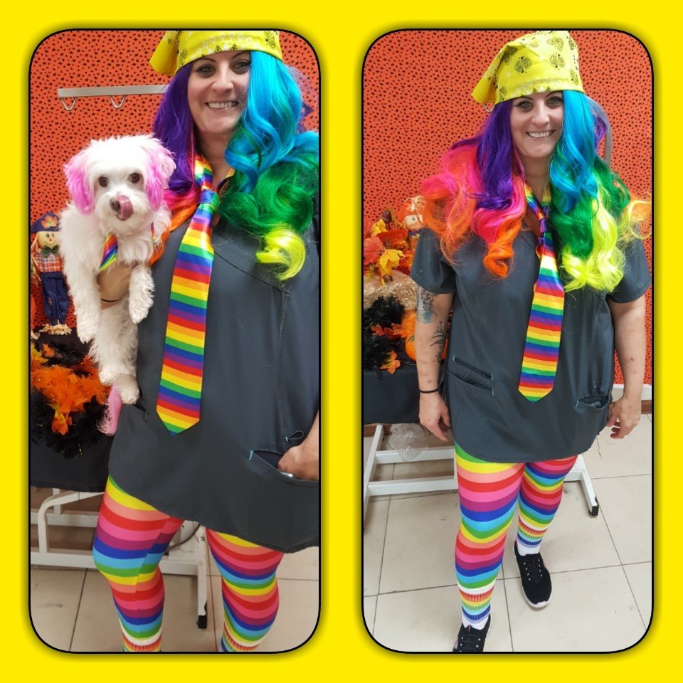 Our Team Bloomington, IL Top Dog Grooming Salon