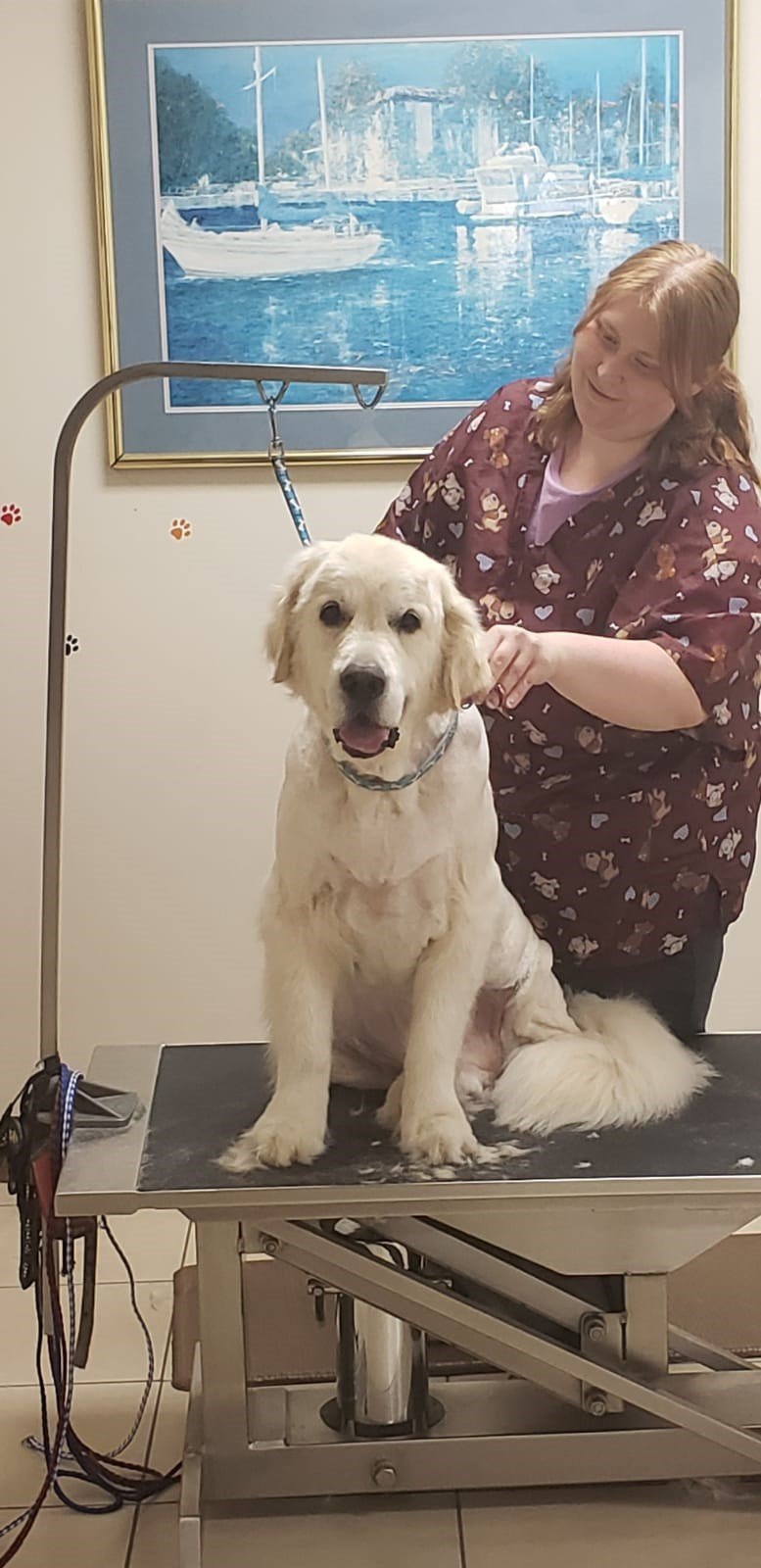 Our Team Bloomington, IL Top Dog Grooming Salon