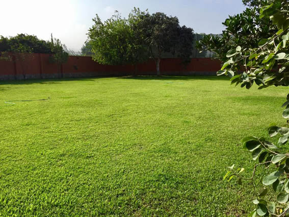 cst gestion inmobiliaria