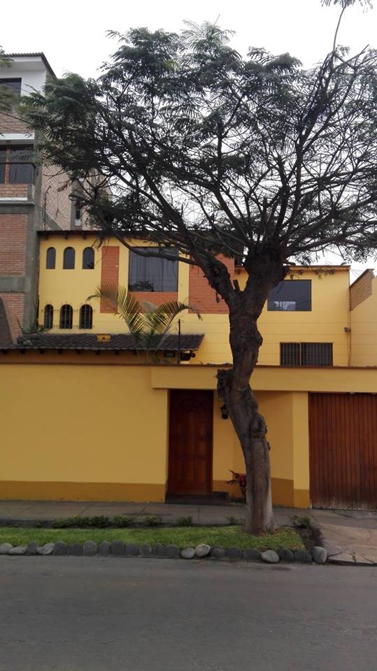 Cst Gestión Inmobiliaria 