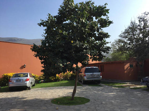 cst gestion inmobiliaria