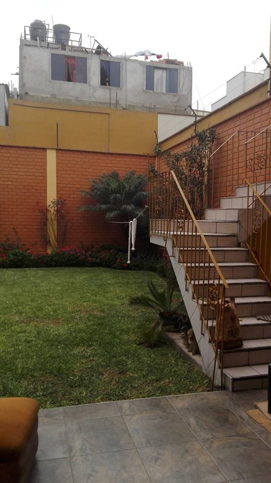 Cst Gestión Inmobiliaria 