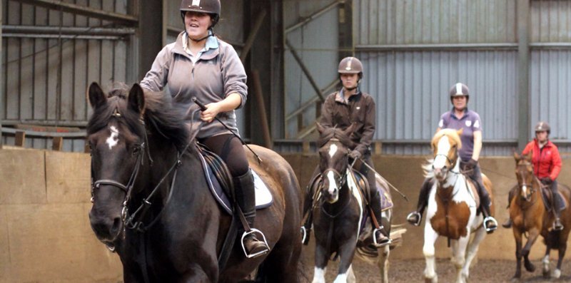 are you looking for group horse riding lessons in glasgow