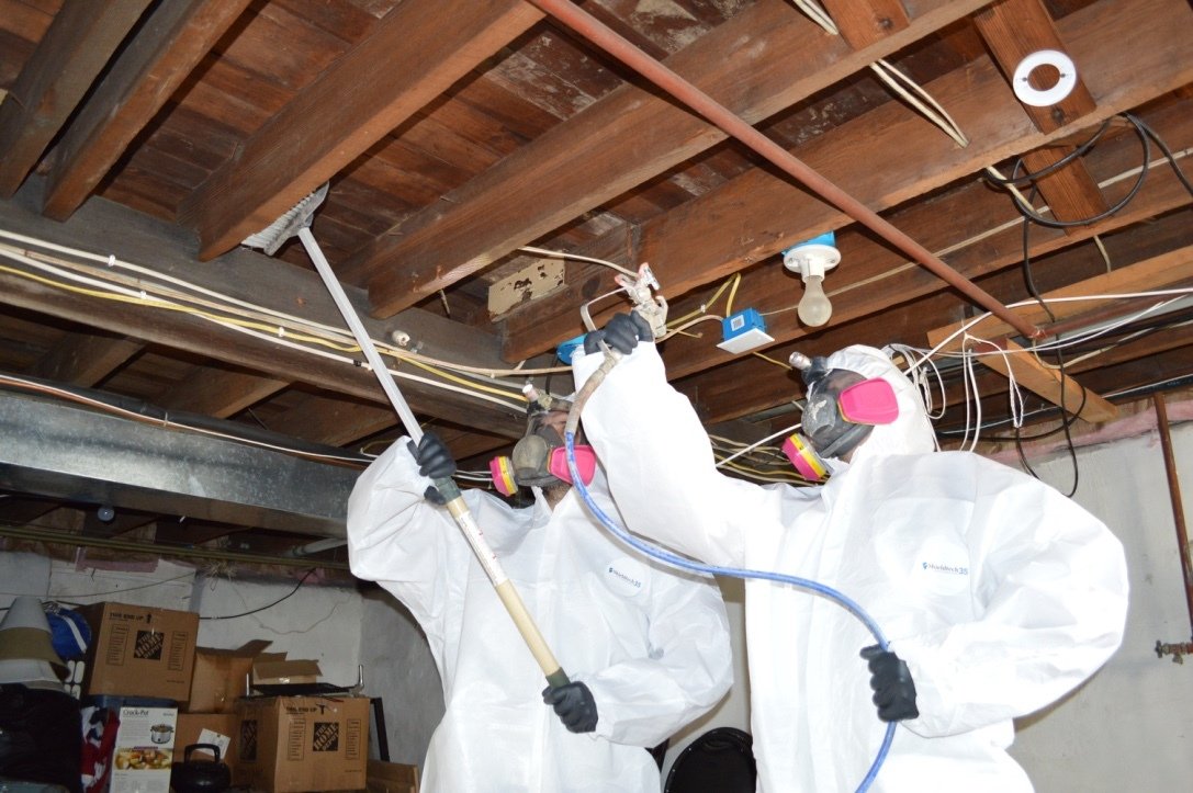 Photo inspiration: Mold Inspection Mold Remediation For Property Managers Photo Inspiration