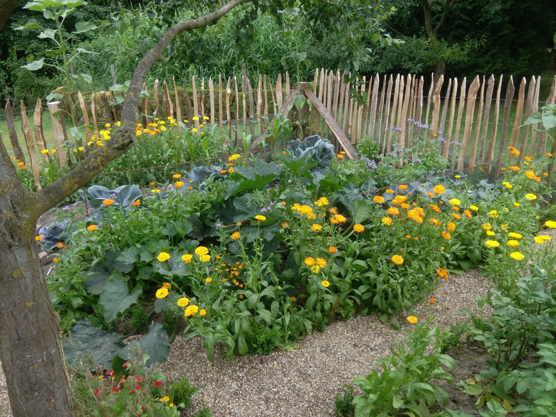 KleinodFarm gärtnern, imkern und Hühner halten