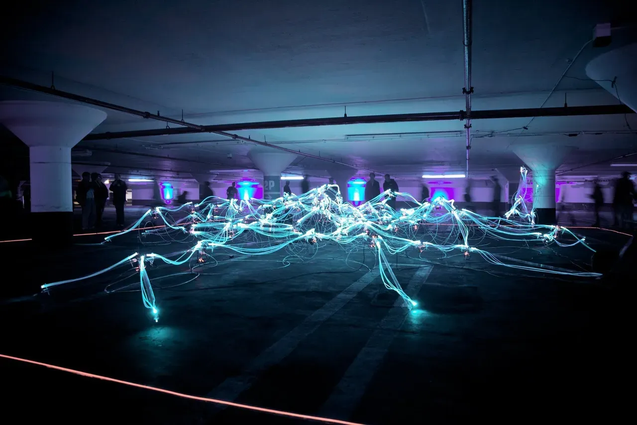 Network animation