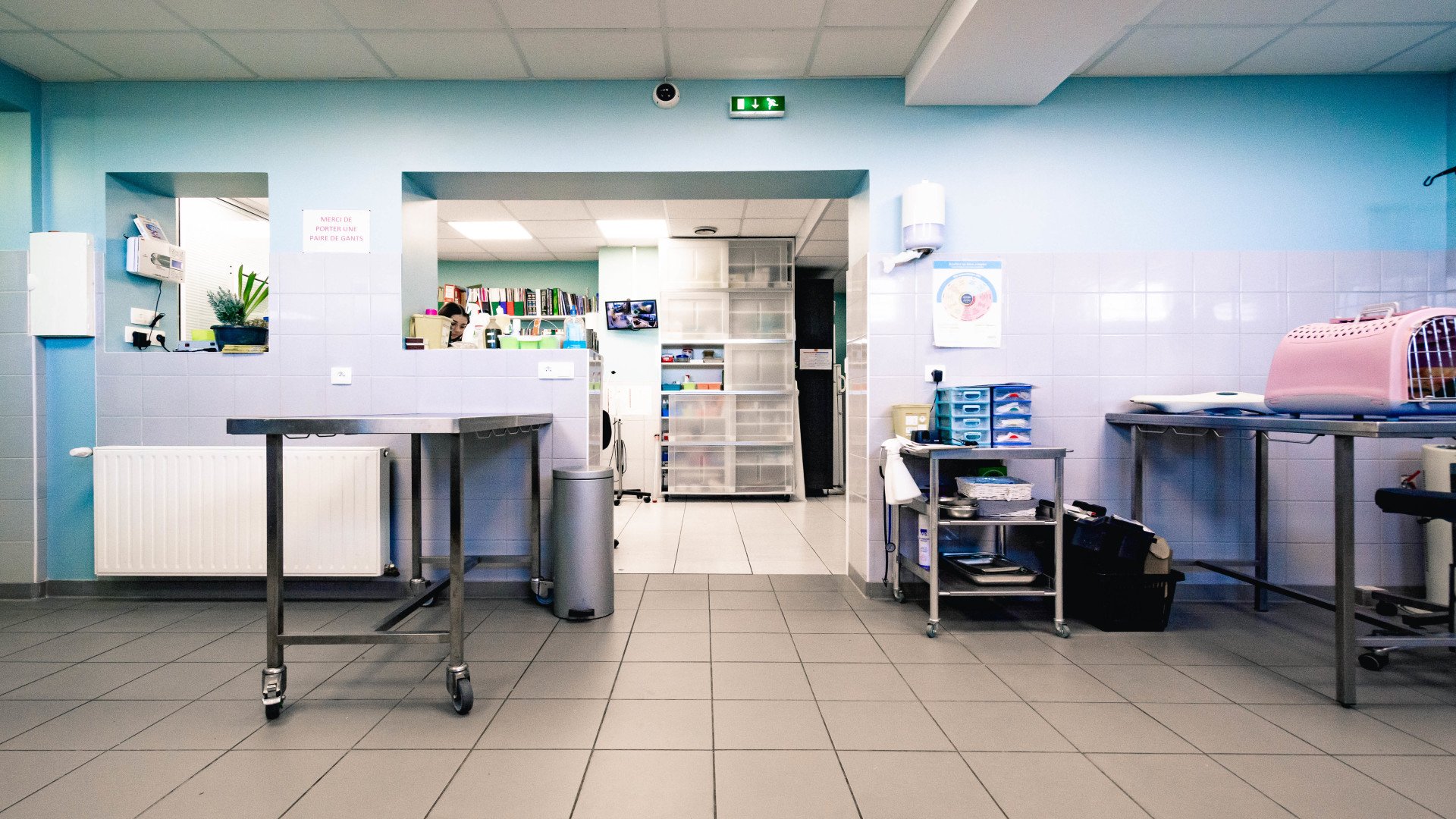 Clinique Vétérinaire République Des Docteurs Clement Et Vinet Photos