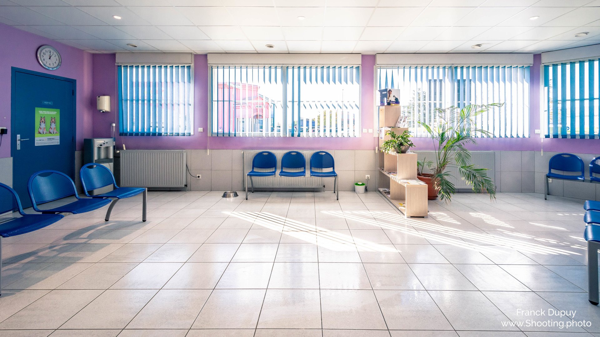 Clinique Vétérinaire De L'arche De Bois Photos