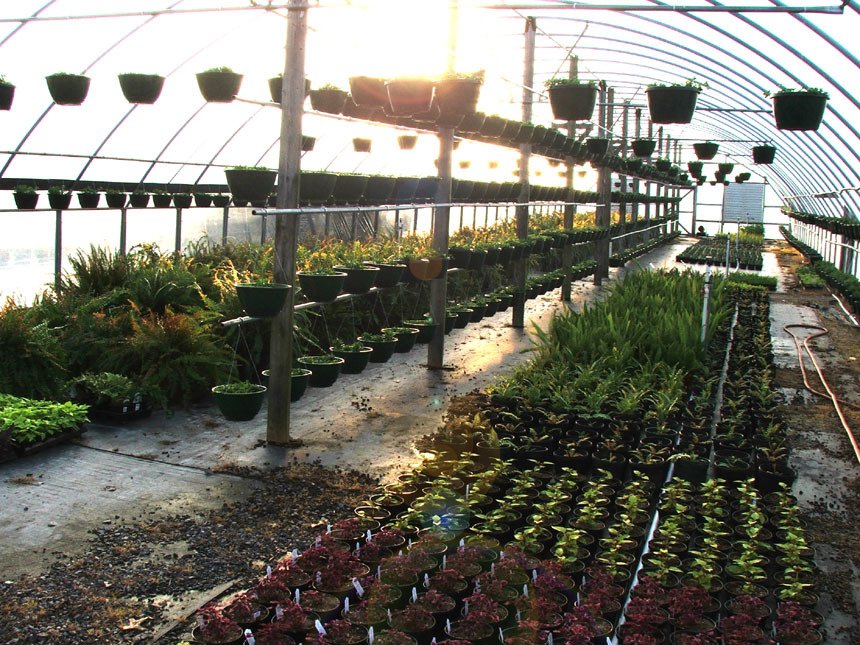 Retail Garden Center Milan, TN Greenway Nursery & Landscaping
