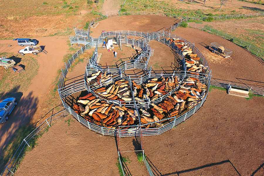 Rural Fencing Supplies in Rockhampton CQ Stockfeed & Rural