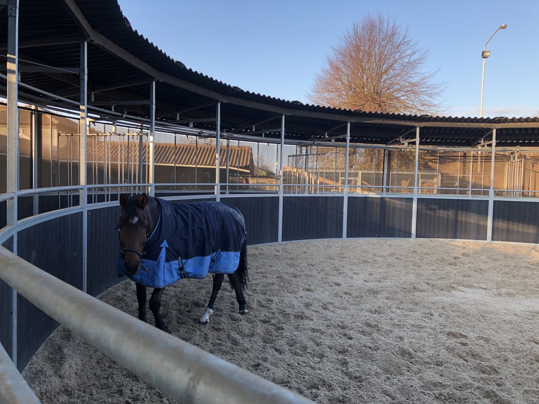 Quality horse walkers with lunging ring and oval horsewalkers, from